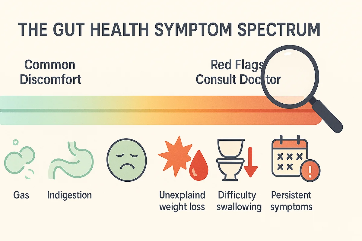 How to Spot Gut Health Red Flags: When to Seek Professional Help