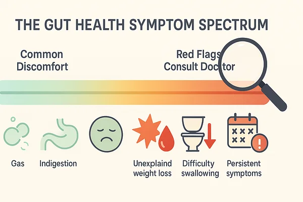 How to Spot Gut Health Red Flags: When to Seek Professional Help