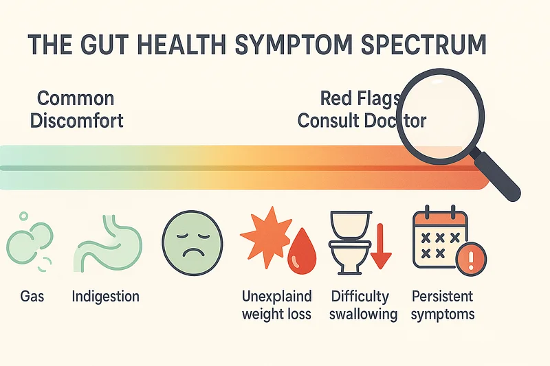 How to Spot Gut Health Red Flags: When to Seek Professional Help