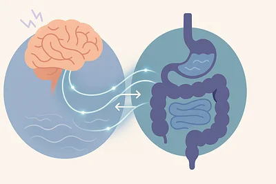 The Connection Between Stress and Gut Health: How to Manage Both
